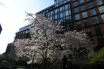 DSC_6855 (Large).JPG